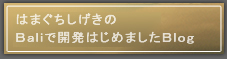 blog