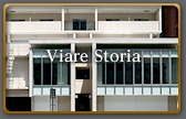 Viare Storia